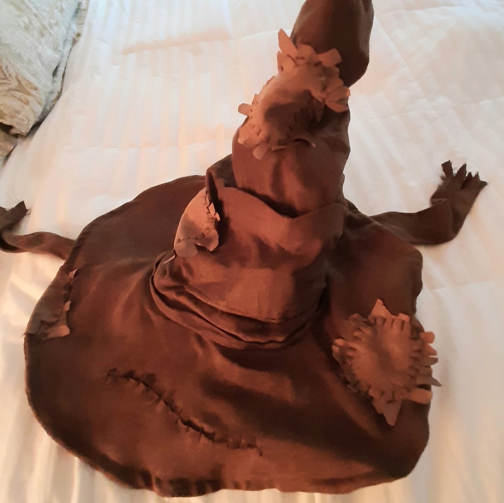 Harry Potter Sorting Hat
